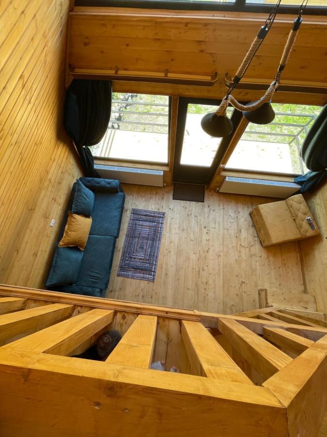 Guesthouse Elli & Cottages 카즈베기 외부 사진