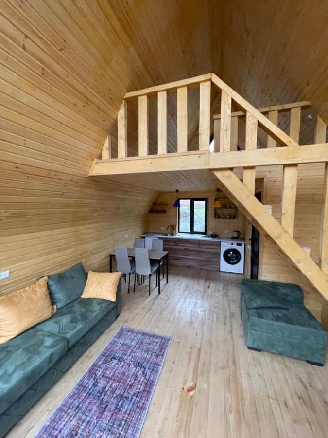 Guesthouse Elli & Cottages 카즈베기 외부 사진