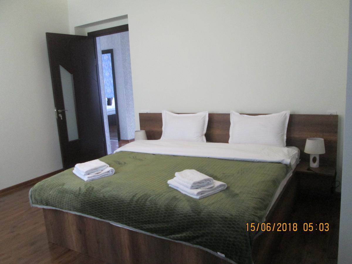 Guesthouse Elli & Cottages 카즈베기 외부 사진